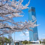 【2024版】千葉県の船橋・千葉駅・浦安で就活の証明写真の撮影におすすめの写真館20選と証明写真機を紹介