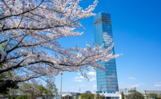 【2024版】千葉県の船橋・千葉駅・浦安で就活の証明写真の撮影におすすめの写真館20選と証明写真機を紹介